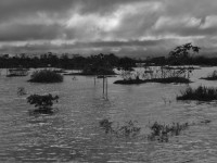 /album/galeria-de-fotos/borba-153-jpg/